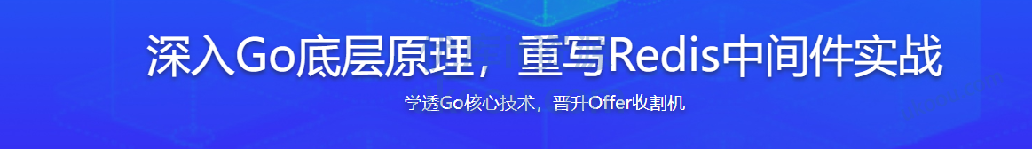 深入Go底层原理，重写Redis中间件实战 学习资料 第1张