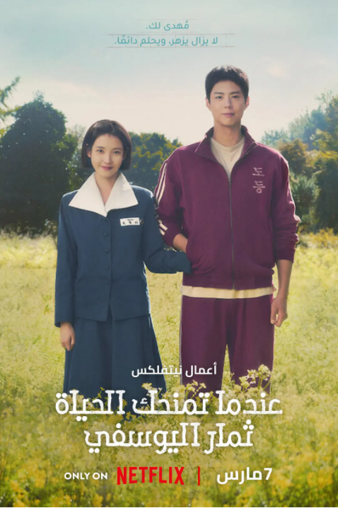 苦尽柑来遇见你