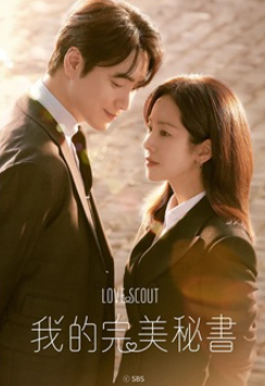 我的完美秘书